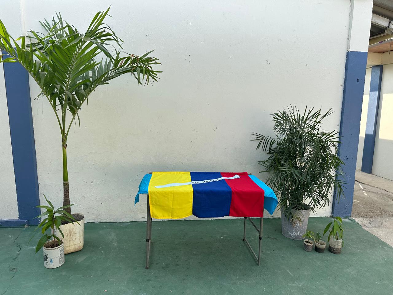 Descripción de la imagen